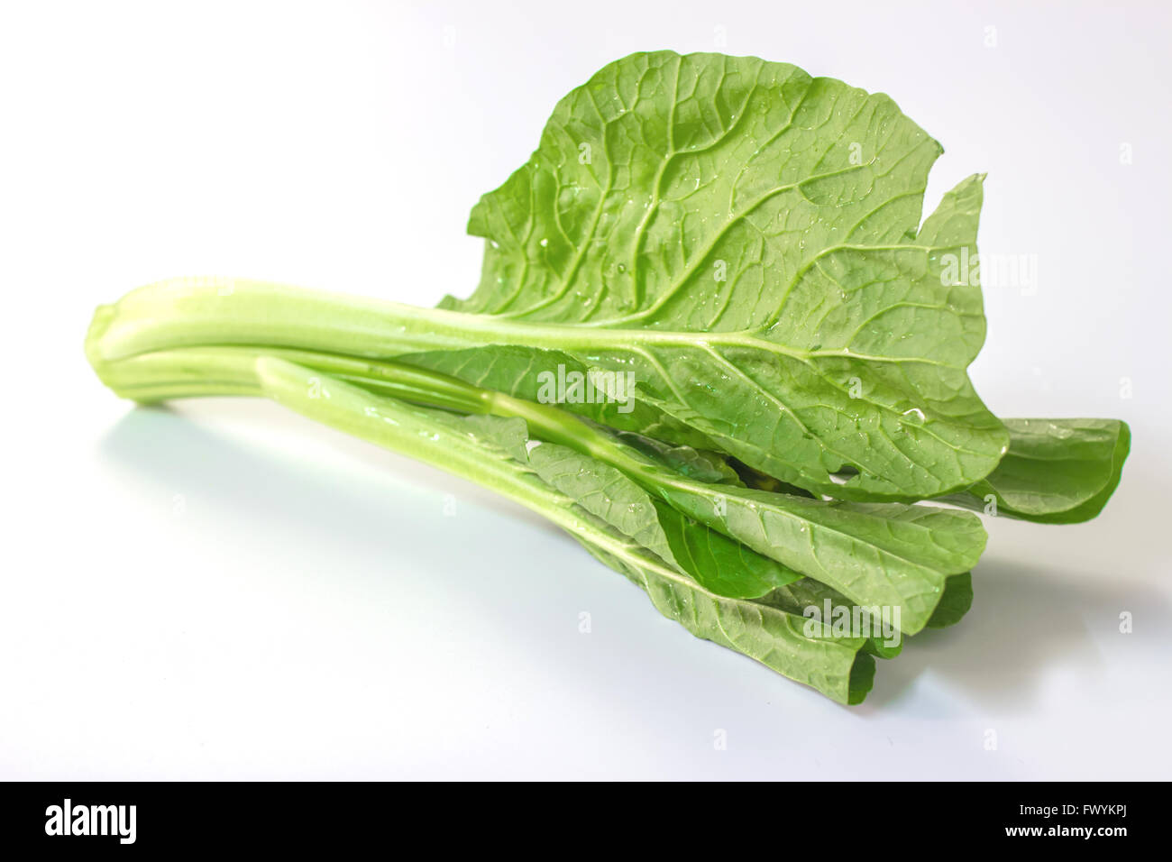Una verdura verde sul tavolo bianco Foto Stock