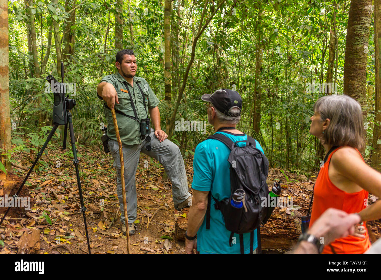 Penisola di OSA, COSTA RICA - Guida Naturalista con eco-turisti nella foresta di pioggia sulla passeggiata. Foto Stock