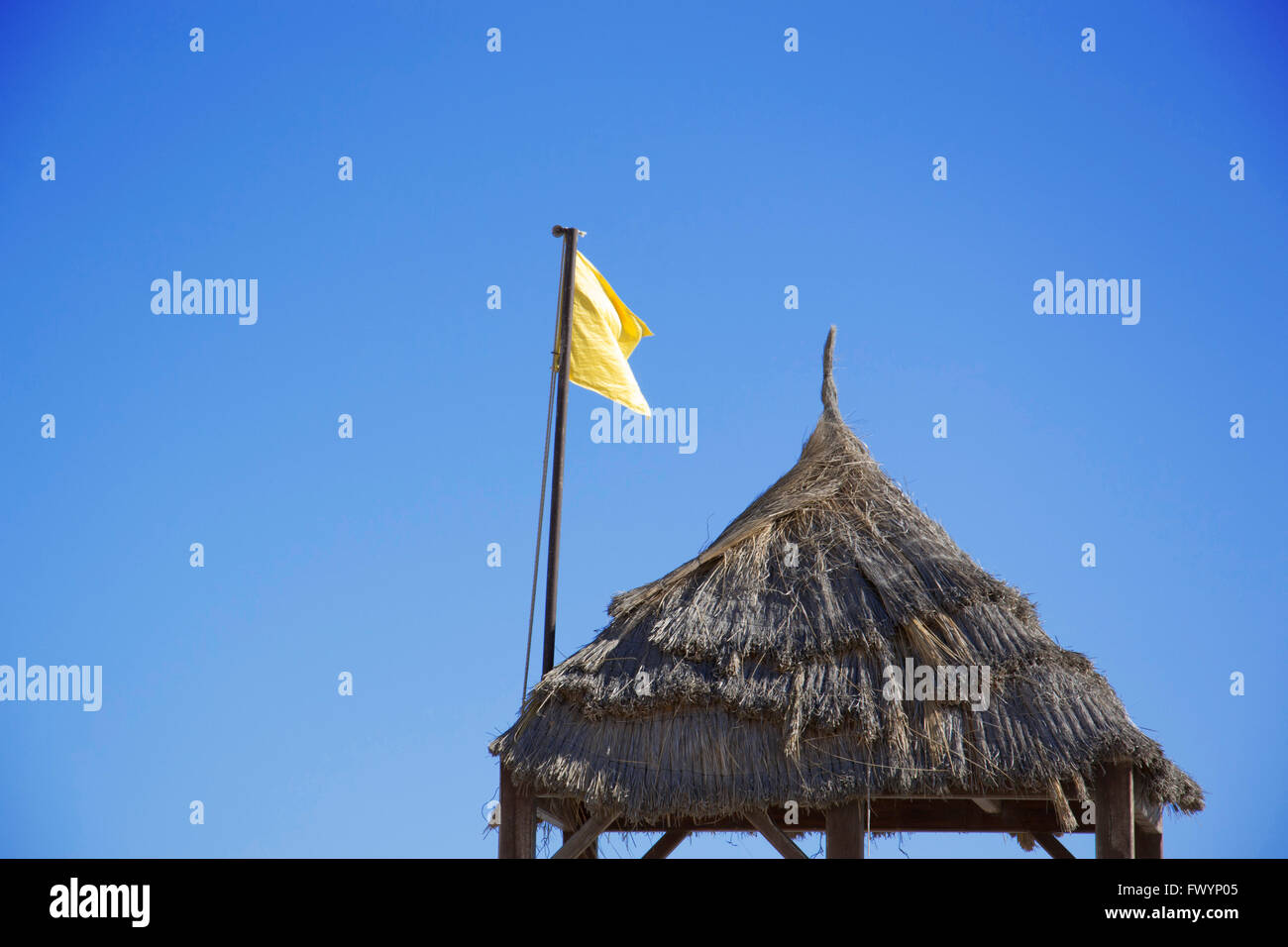 Bandiera Gialla Sulla Spiaggia Immagini E Fotografie Stock Ad Alta ...