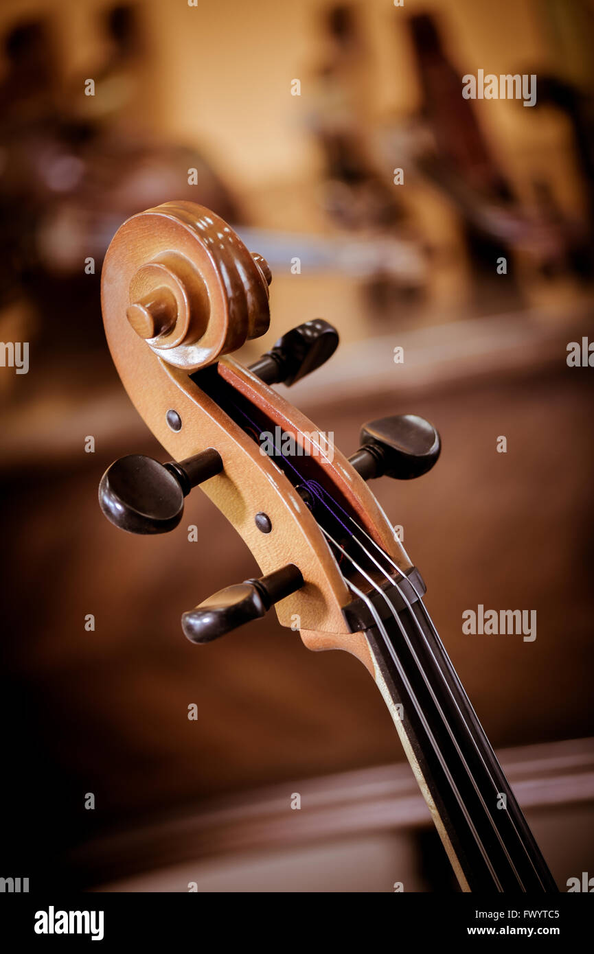I dettagli di violoncello classico strumento musicale Foto Stock