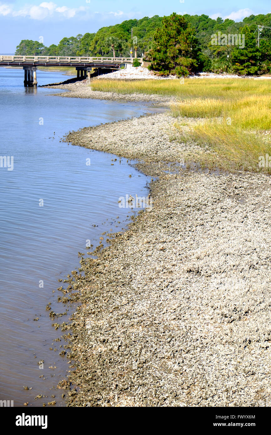 Fripp ingresso sulla caccia Island State Park, Sud Carolina, STATI UNITI D'AMERICA Foto Stock