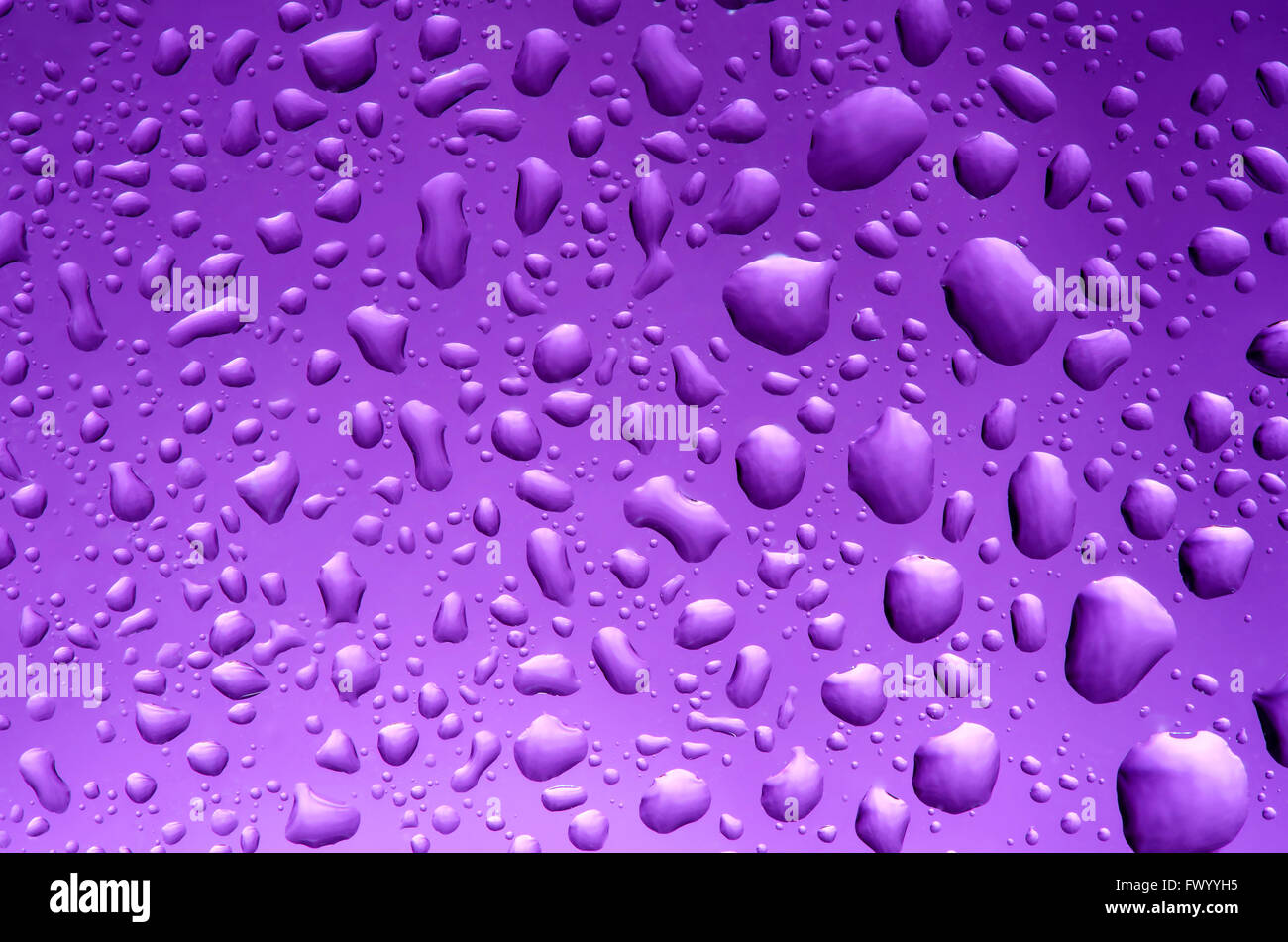 Aggiornamento puprple texture di gocce di acqua liscia, graduate Foto Stock