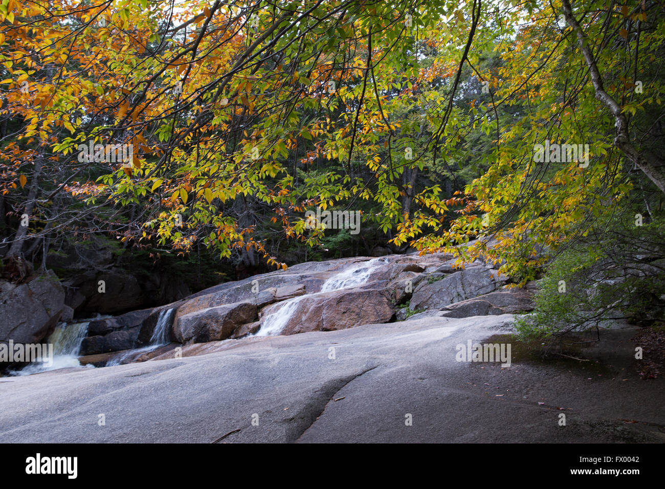In autunno gli alberi al tempo di caduta al bacino nel New Hampshire Foto Stock