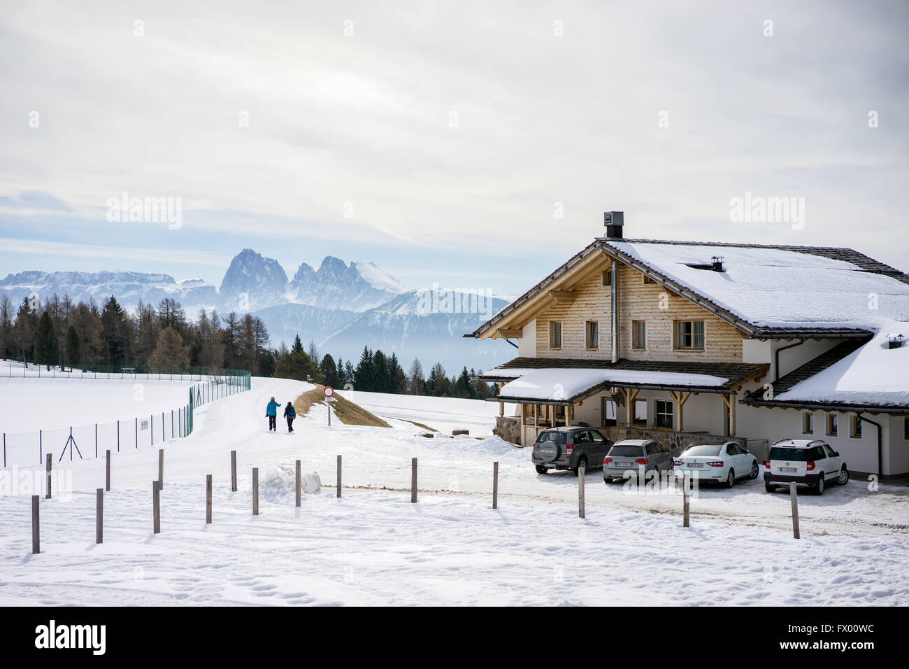 Paio di camminare sulla Alp in pascolo Rinderplatz in Alto Adige Italia Foto Stock