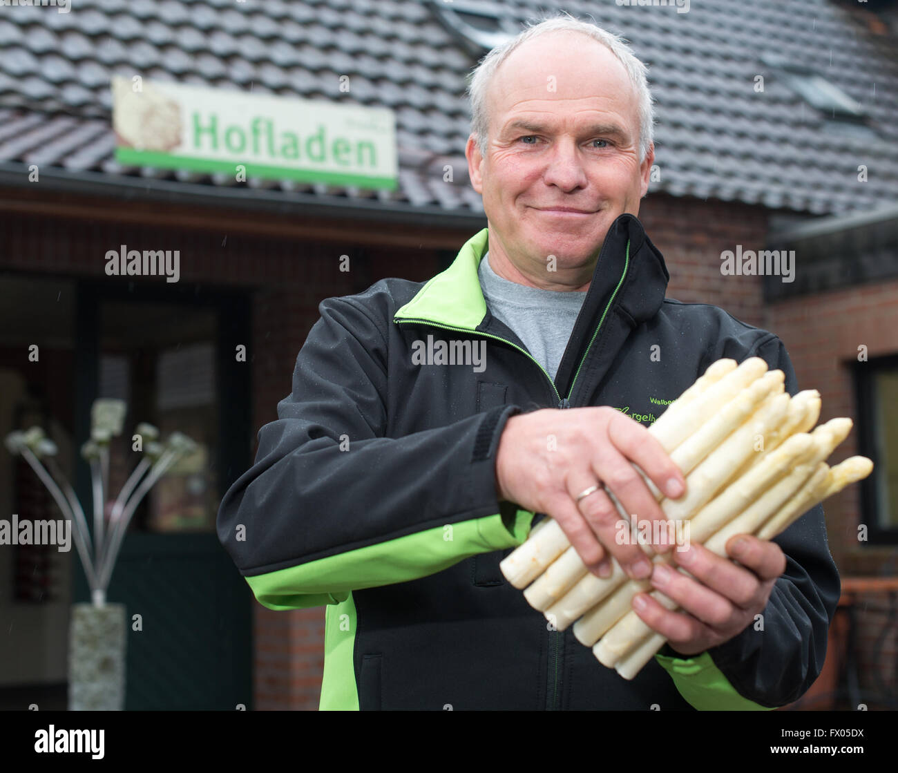 Geldern, Germania. 05 apr, 2016. Franz Allofs, senior partner di Spargelhof Allofs fattoria di asparagi, detiene appena raccolto asparagi in Geldern, Germania, 05 aprile 2016. Foto: Monika Skolimowska/dpa/Alamy Live News Foto Stock