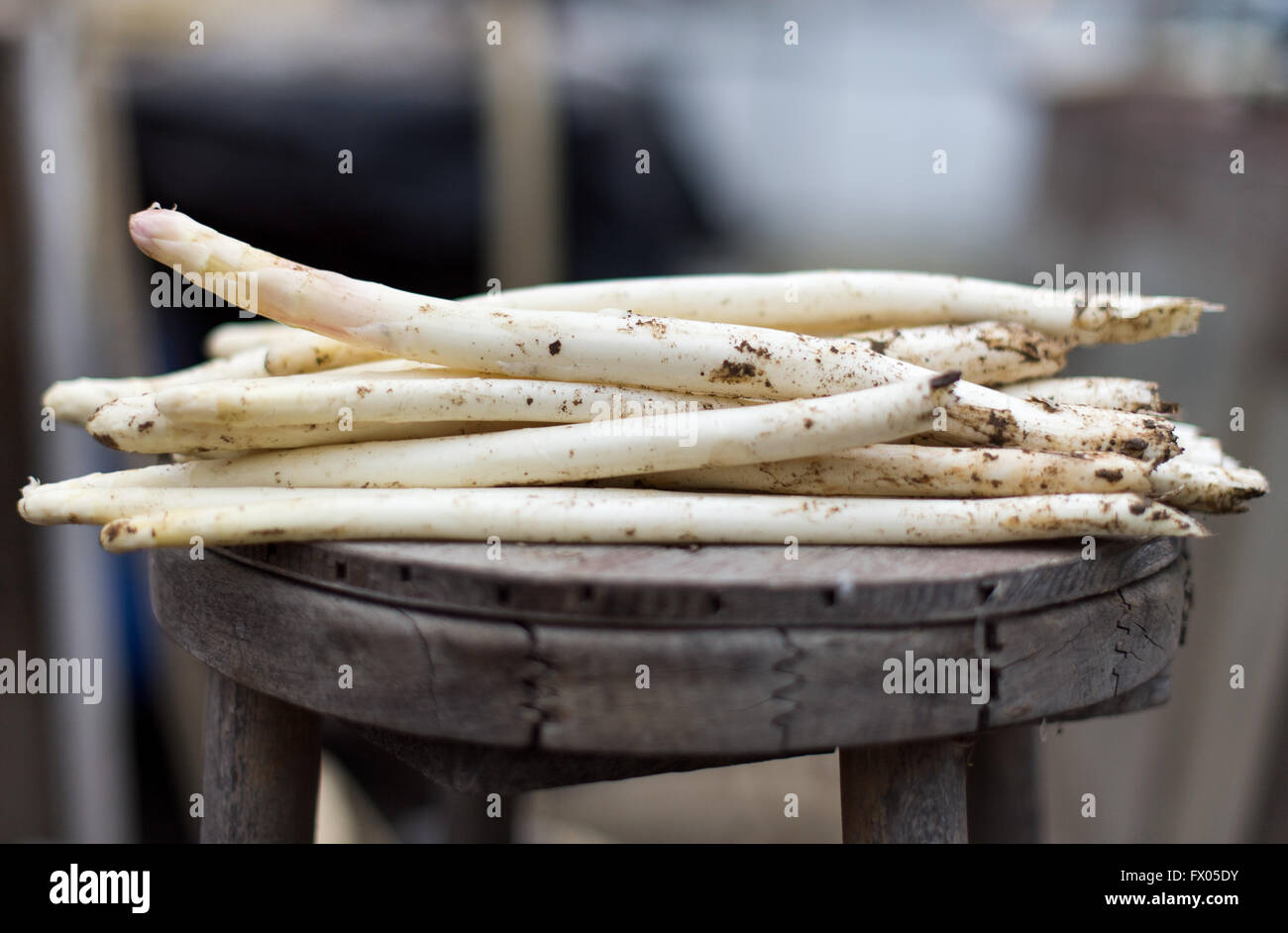 Geldern, Germania. 05 apr, 2016. Appena raccolto asparagi giace su di una tavola in una serra di Geldern, Germania, 05 aprile 2016. Foto: Monika Skolimowska/dpa/Alamy Live News Foto Stock