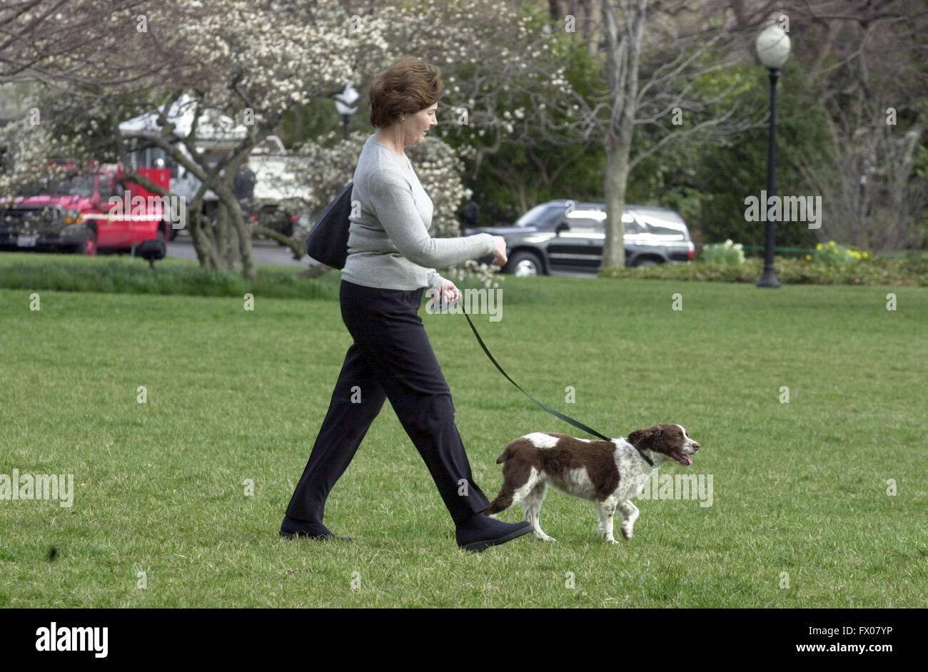 Washington, Distretto di Columbia, Stati Uniti d'America. 30 mar 2001. La First Lady Laura Bush cammina il suo cane, Spot attraverso il South Lawn della Casa Bianca per l'elicottero in attesa di prendere il suo e il Presidente degli Stati Uniti George Bush a Camp David per il fine settimana del 30 marzo 2001.Credit: Ron Sachs/CNP © Ron Sachs/CNP/ZUMA filo/Alamy Live News Foto Stock