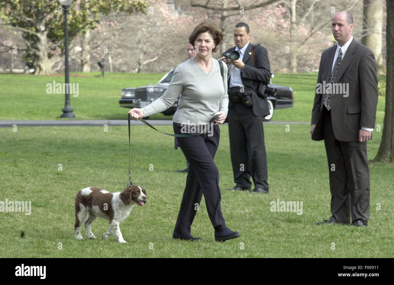 La First Lady Laura Bush cammina il suo cane, Spot attraverso il South Lawn della Casa Bianca per l'elicottero in attesa di prendere il suo e il Presidente degli Stati Uniti George Bush a Camp David per il fine settimana su Marzo 30, 2001. Credito: Ron Sachs/CNP - nessun filo SERVICE - Foto Stock