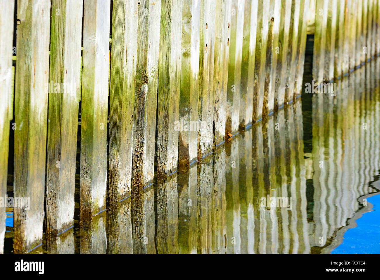 Doghe in legno andare in acqua sul molo. Il legno è un po' nodose e alterate, che diventa verde dalla crescita di alghe. La Riflessione Foto Stock