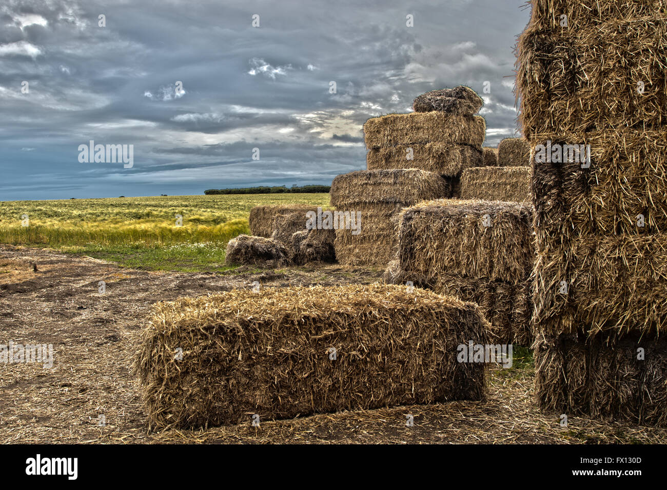 Immagine artistica di balle di paglia su terreni agricoli Foto Stock