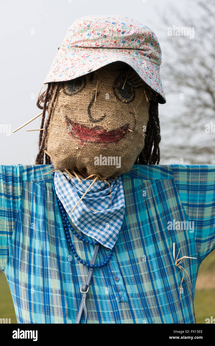 Lo Spaventapasseri, fiorito hat, blu controllare shirt Foto Stock