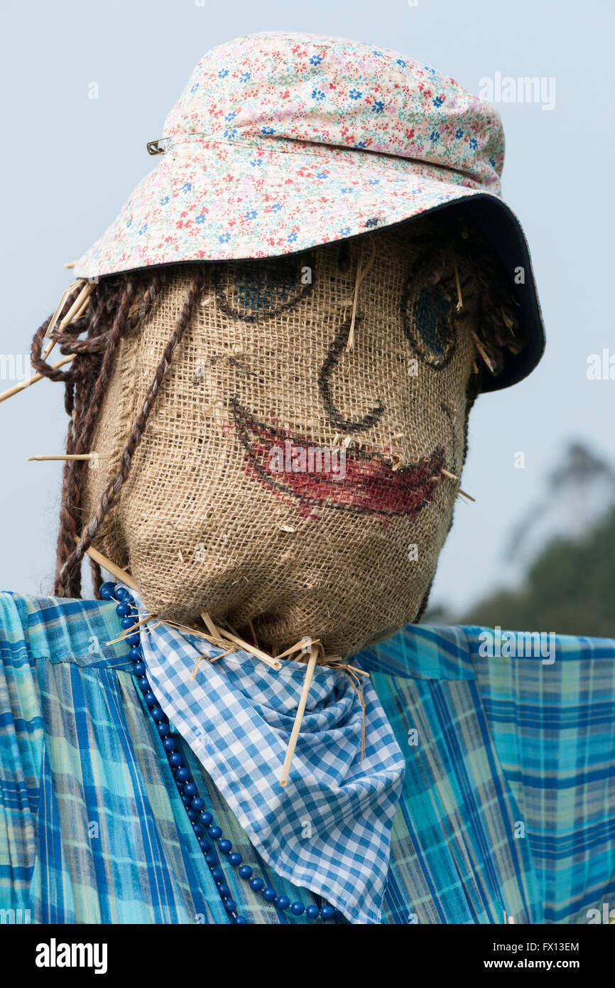 Lo Spaventapasseri, fiorito hat, blu controllare shirt Foto Stock