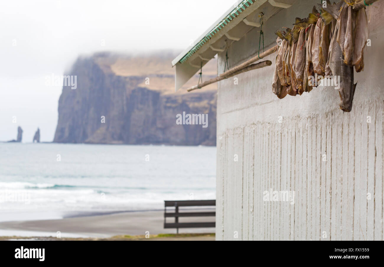 Pesci appesi ad asciugare con Risin e mare Kellingin pile in distanza a Tjørnuvík, Streymoy, Isole Faerøer, Danimarca in aprile - Tjornuvík, Foto Stock