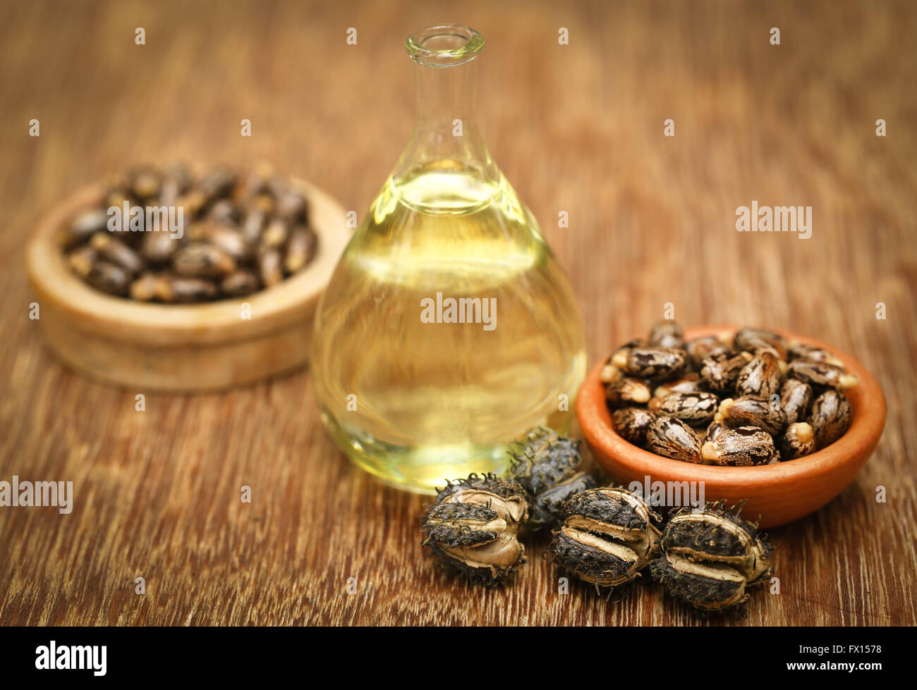 Semi di ricino e di olio in un vasetto di vetro Foto Stock