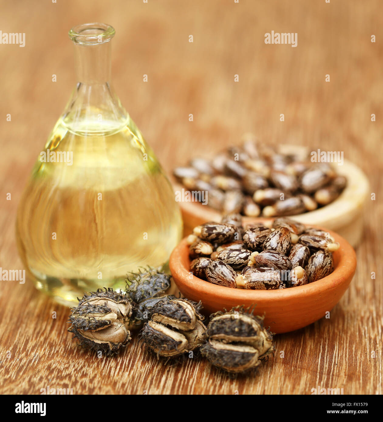 Semi di ricino e di olio in un vasetto di vetro Foto Stock
