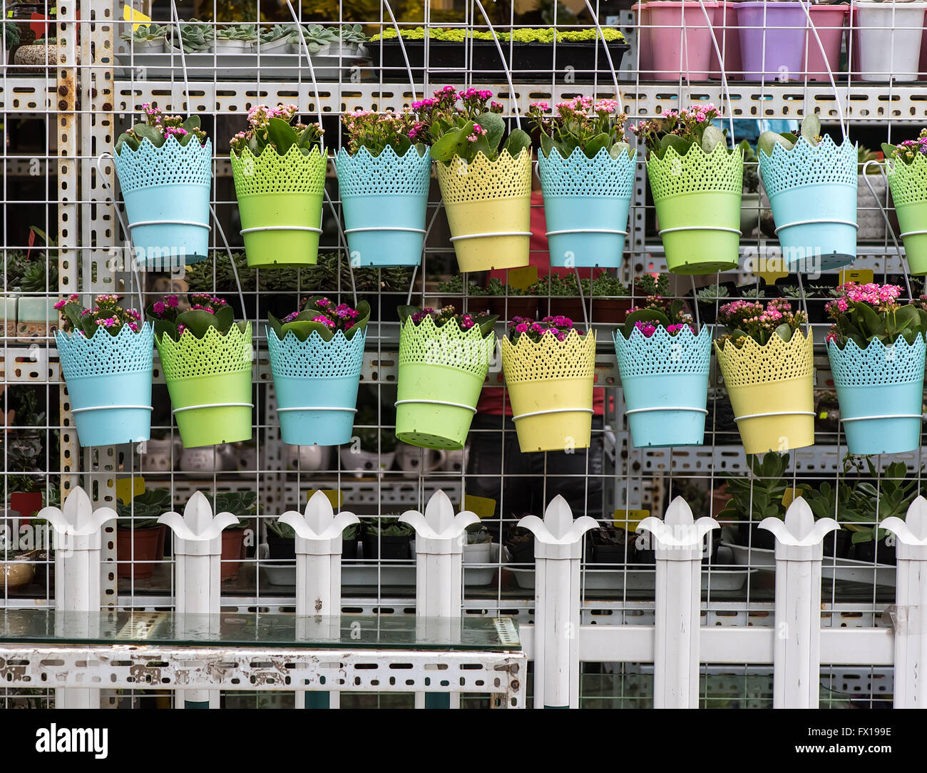 Appendere dei POT del fiore con recinto Foto Stock