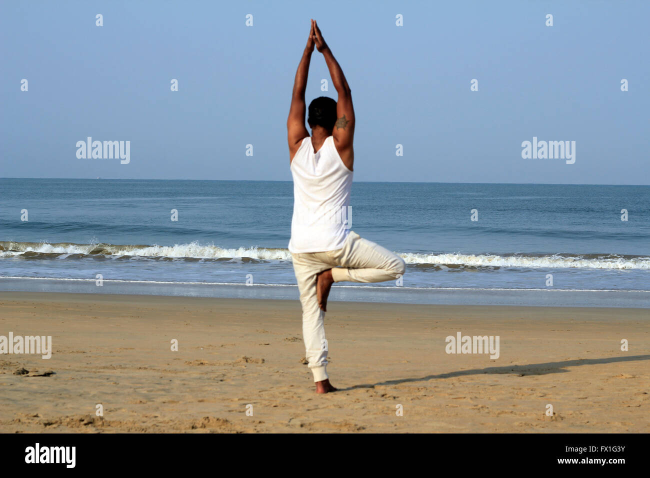 Lo yoga pone eka pada vrikshasan o quella zampe pongono ad albero Foto Stock