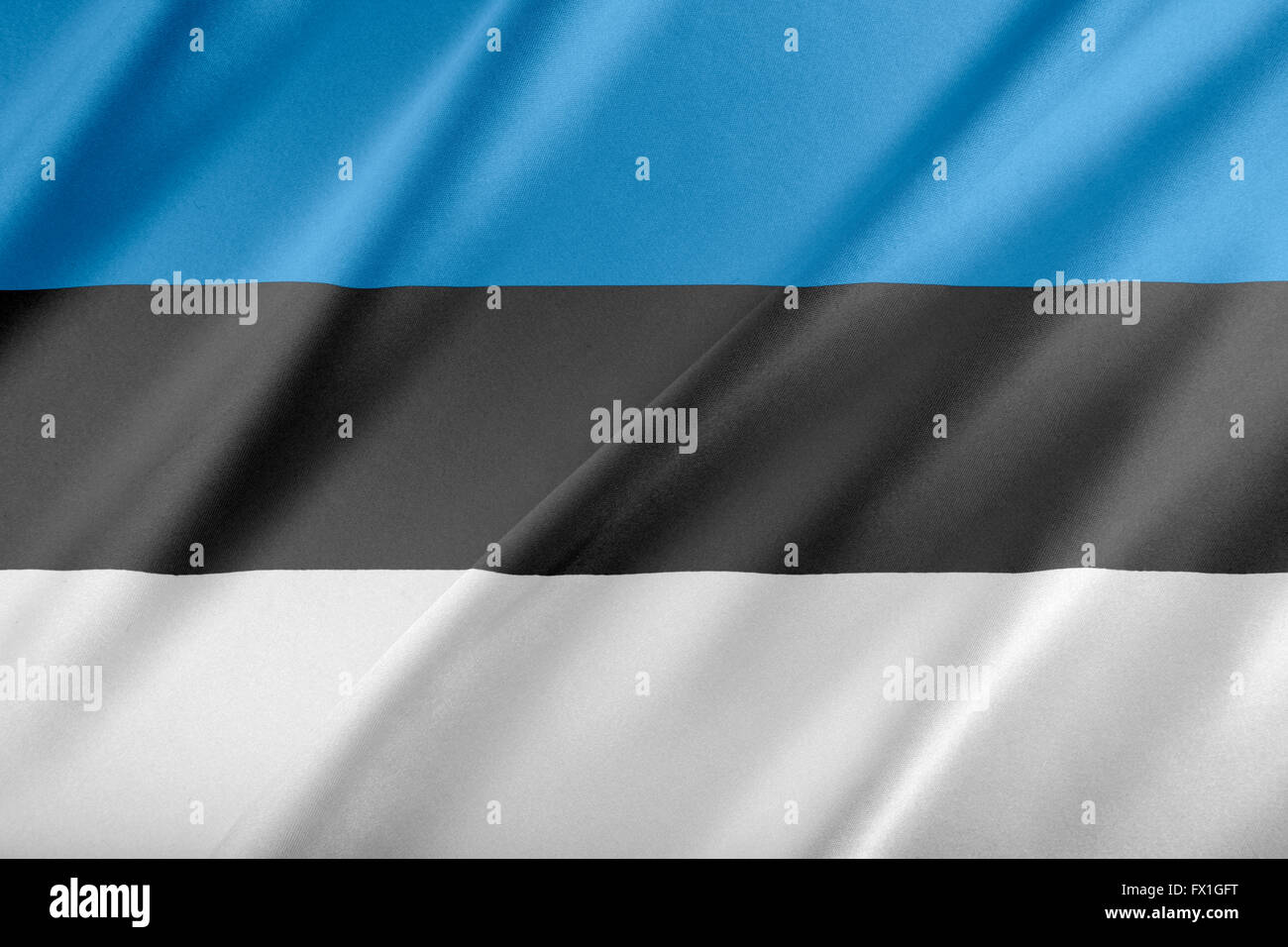 Bandiera dell'Estonia che fluttua nel vento. Foto Stock