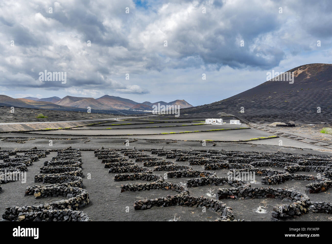 Uva tipica coltivazione in La Geria area su Lanzarote Island sotto la magnifica nuvole, Isole Canarie, Spagna Foto Stock