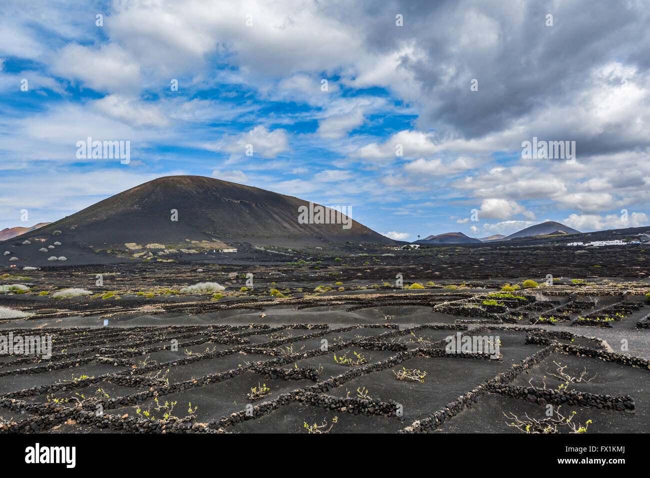 Uva tipica coltivazione in La Geria area su Lanzarote Island sotto la magnifica nuvole, Isole Canarie, Spagna Foto Stock