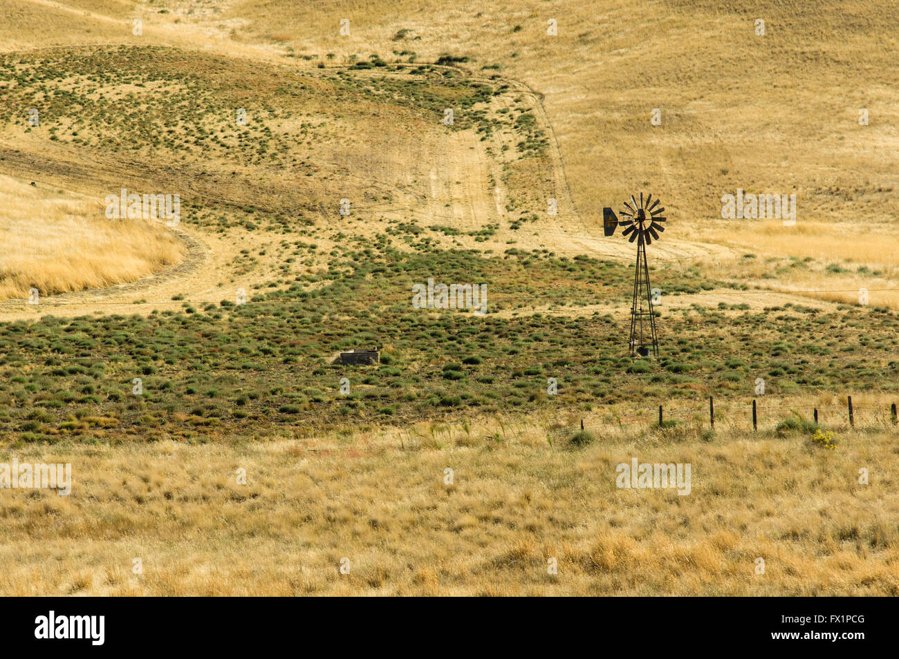 Wind powered pozzo di acqua fornisce una borsa serbatoio di acqua su un ranch in Eastern Washington Foto Stock