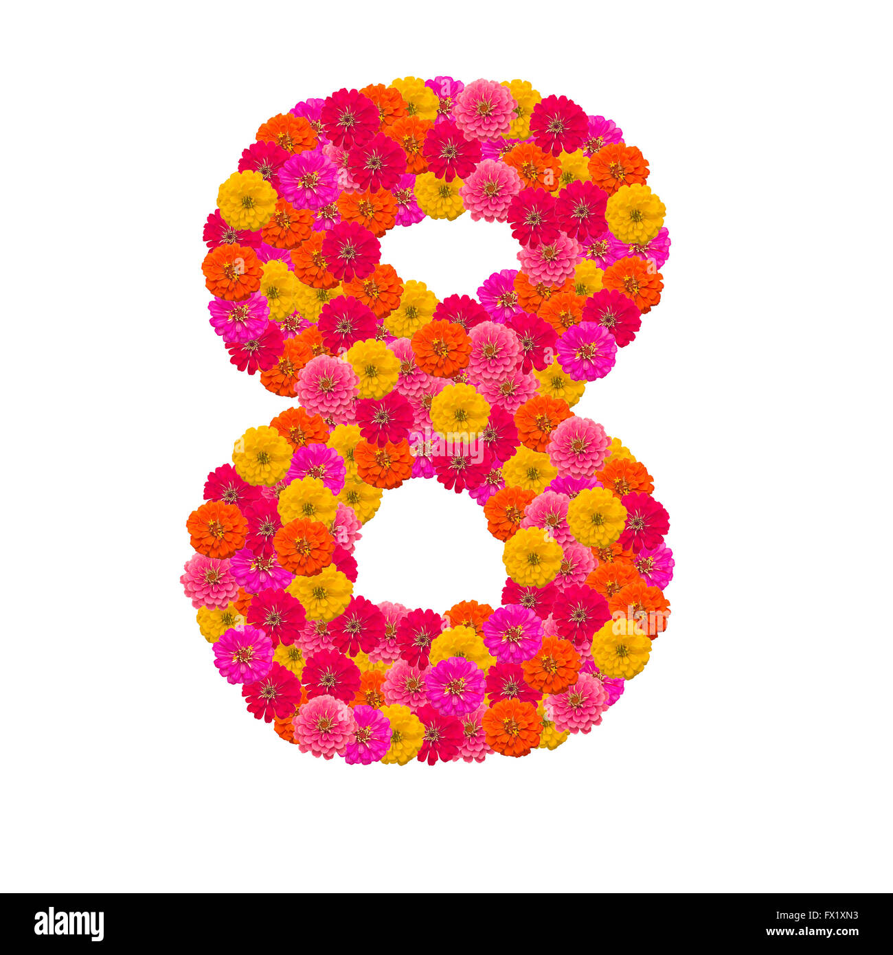 Numero 8 realizzato da fiori Zinnias Foto Stock