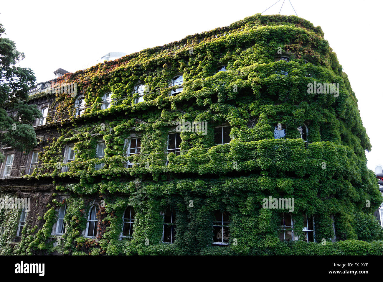 Il Club del Nord edificio coperto in Virginia superriduttore a Auckland, Nuova Zelanda Foto Stock