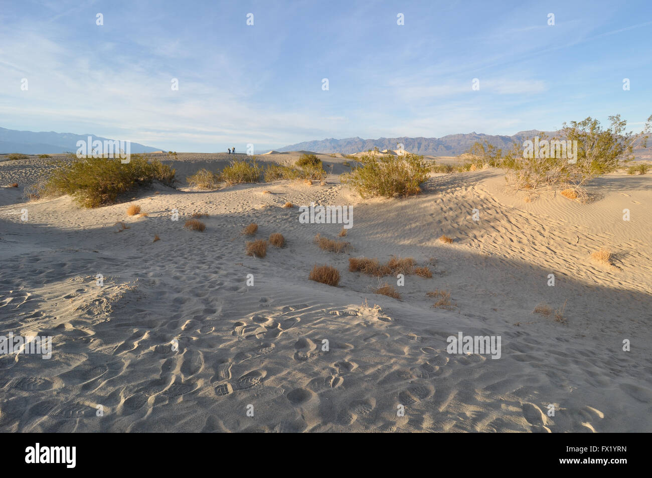 Dune di sabbia nella Death Valley, California, Stati Uniti Foto Stock