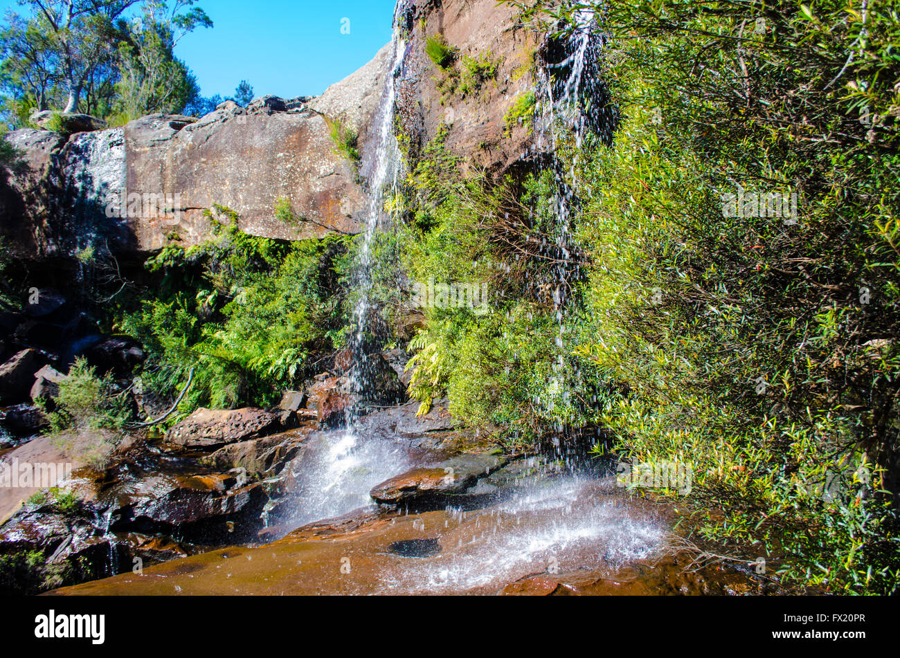 Maddens cade Dharawal Riserva Naturale Bosco Darkes NSW Australia Foto Stock