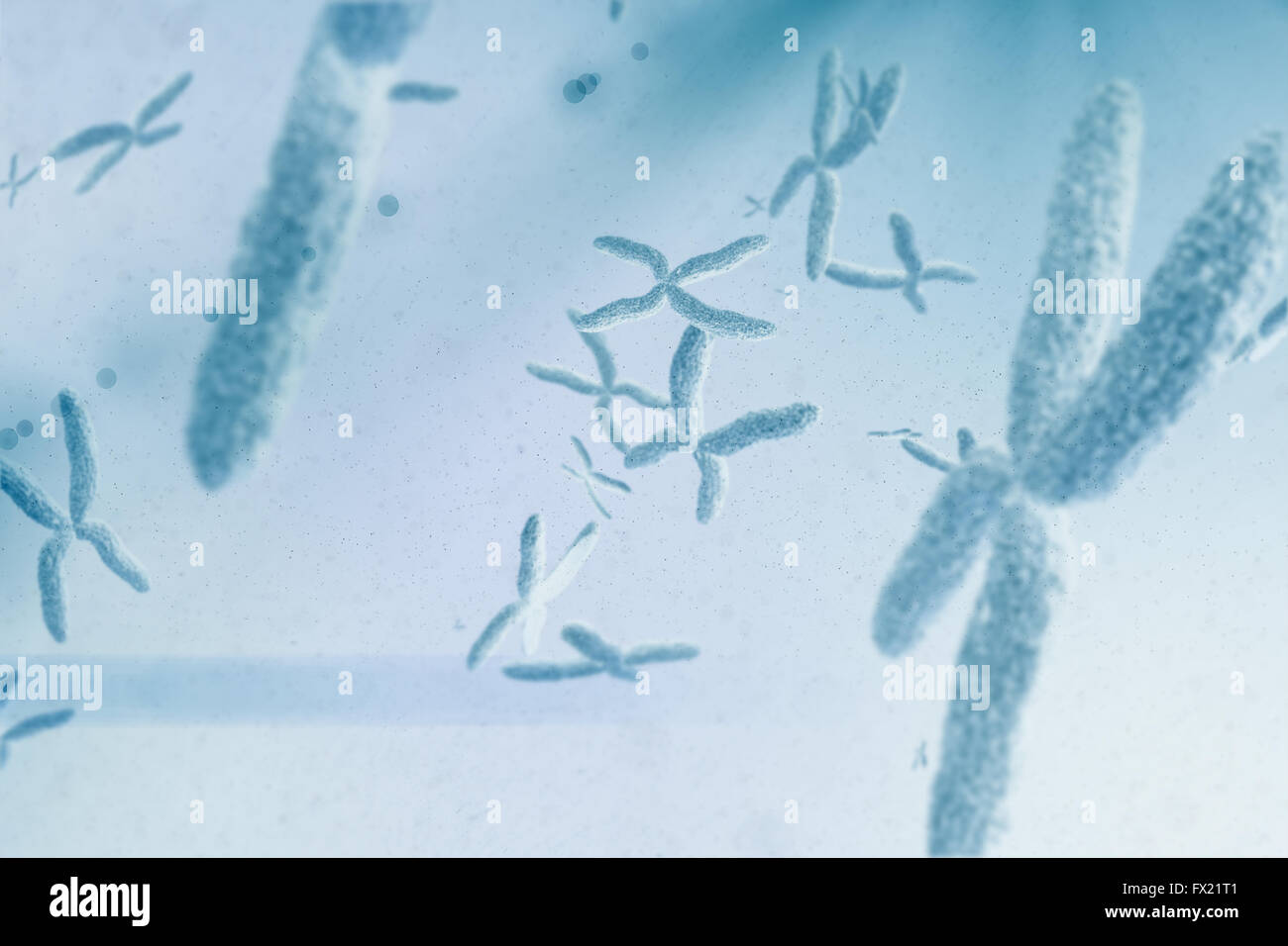 Immagine composita della vista di un cromosoma Foto Stock