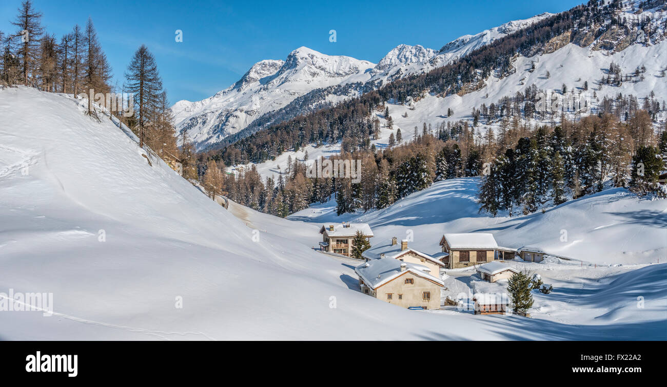 Paesaggio invernale in Val Fex in Engadina, Grigioni, Svizzera Foto Stock