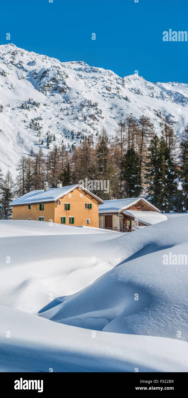 Paesaggio invernale in Val Fex in Engadina, Grigioni, Svizzera Foto Stock