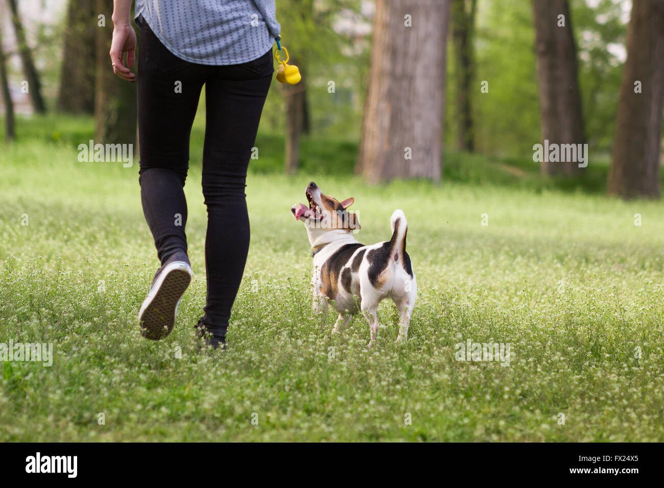 Giovane donna a piedi con un cane la riproduzione di formazione, jumping dog Foto Stock