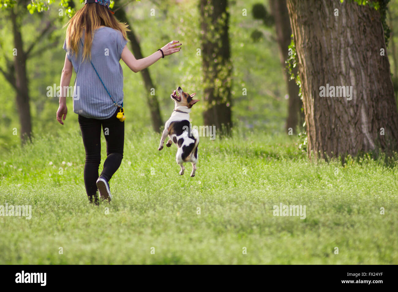 Giovane donna a piedi con un cane la riproduzione di formazione, jumping dog Foto Stock