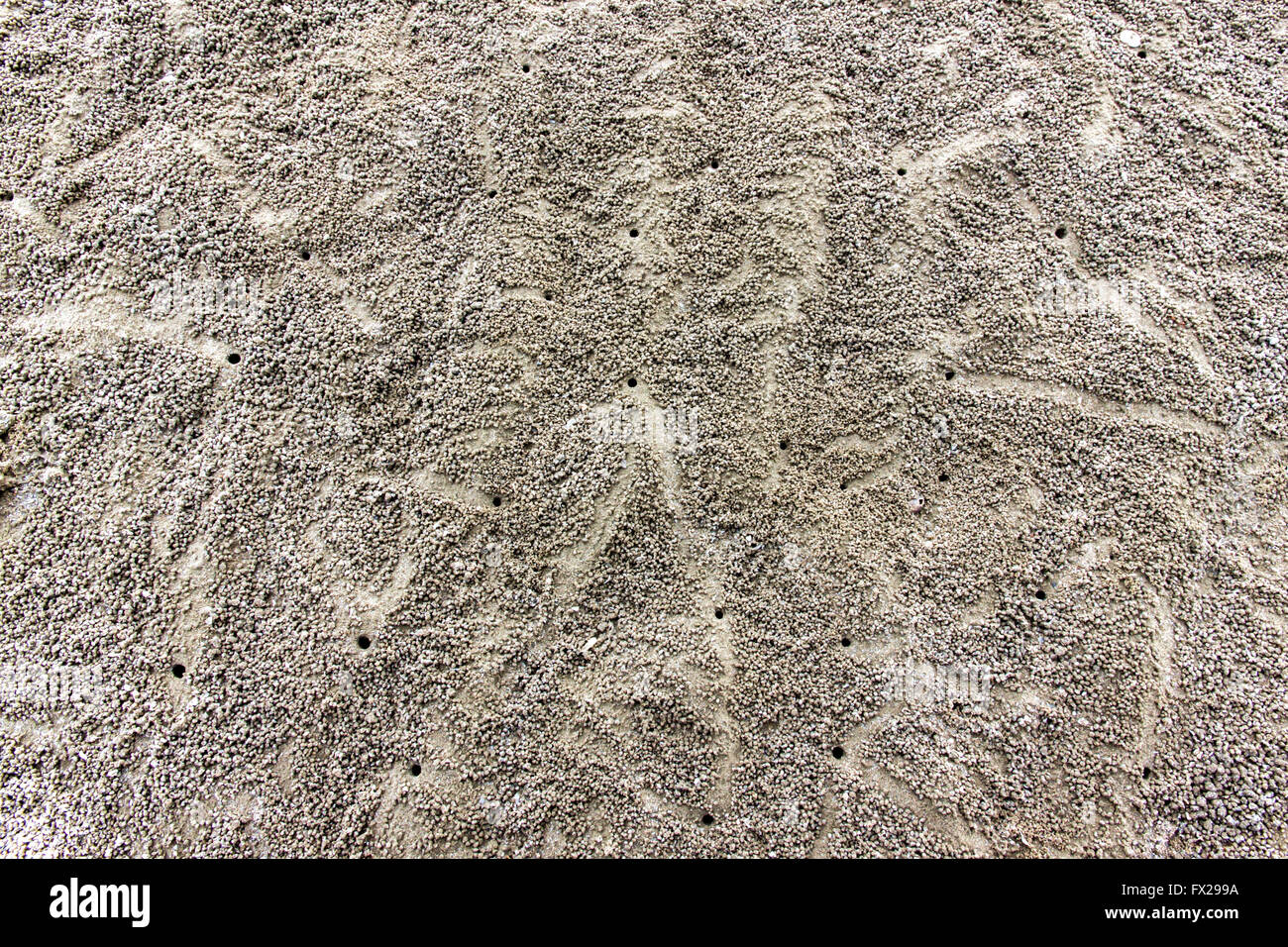 Pellet di sabbia realizzato da sabbia gorgogliatore granchi coperte una spiaggia con la bassa marea in tropicale. Appartamento laici in natura. Foto Stock