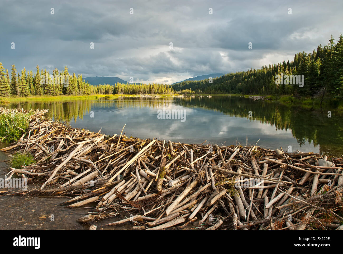 Beaver Dam e il lago, Alaska, Foto Stock