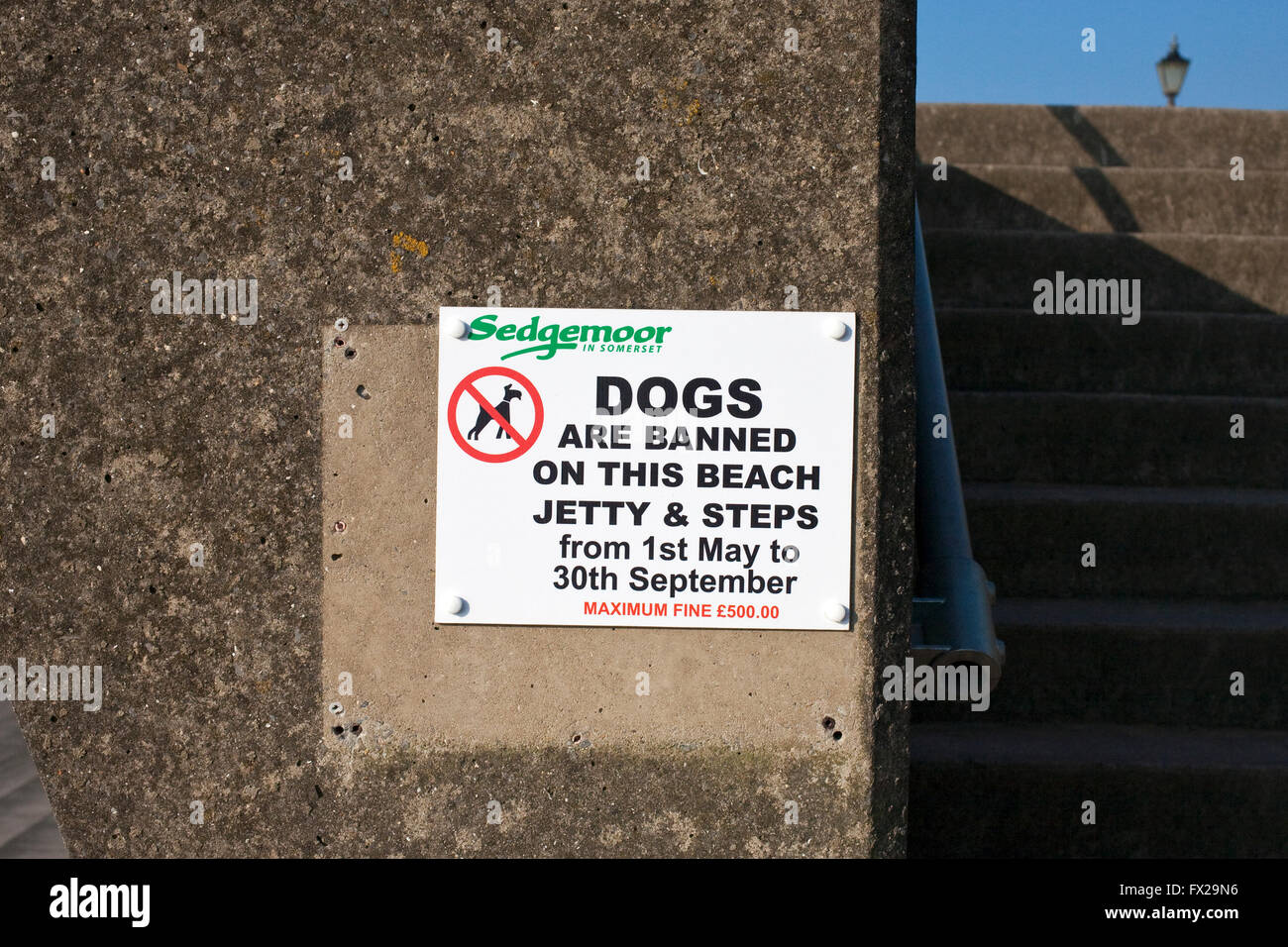Segno indicante i cani vietati sui passaggi in spiaggia durante la stagione turistica Foto Stock
