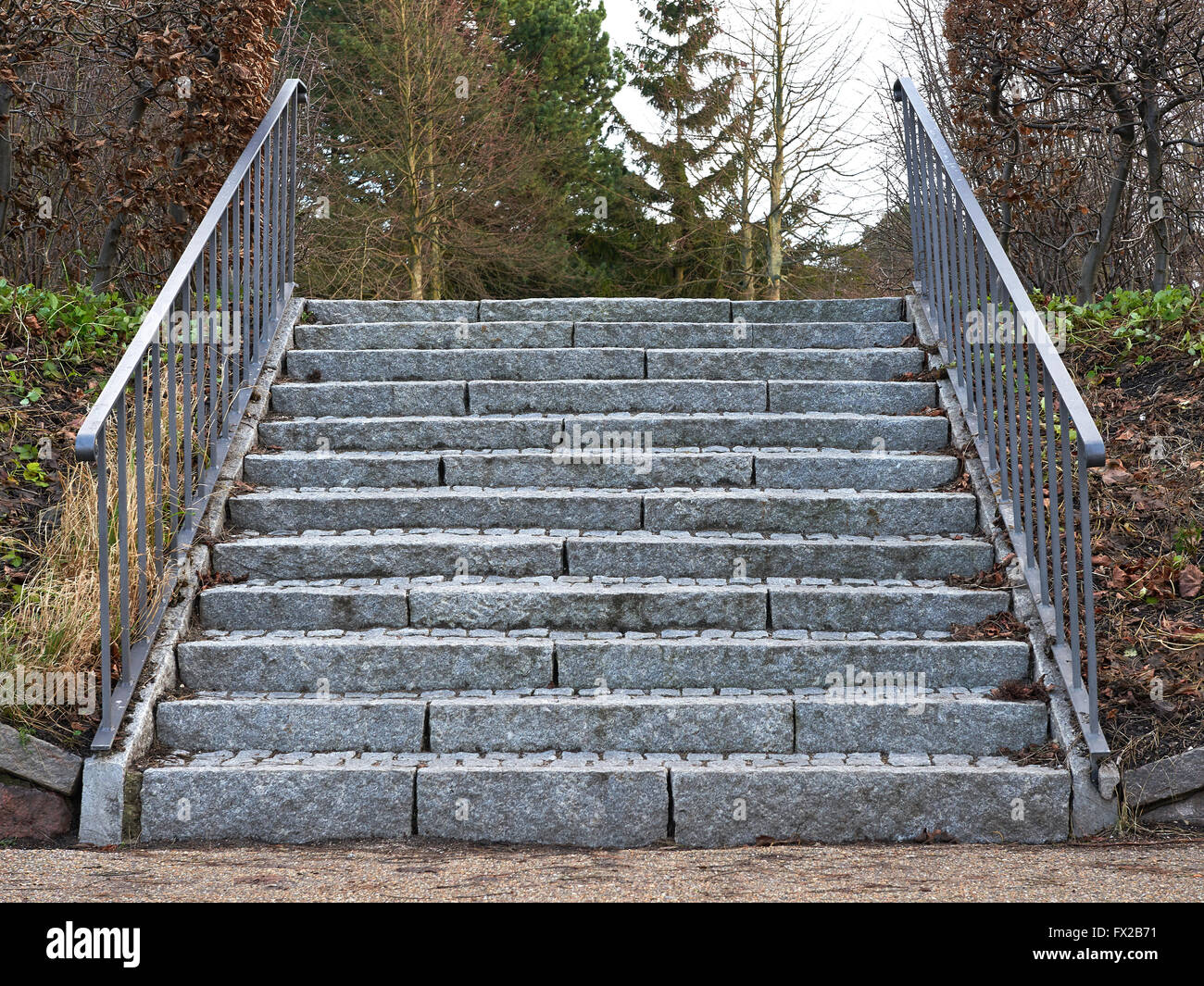 Grigio a una scalinata di pietra con barre di ferro in entrambi i lati Foto Stock