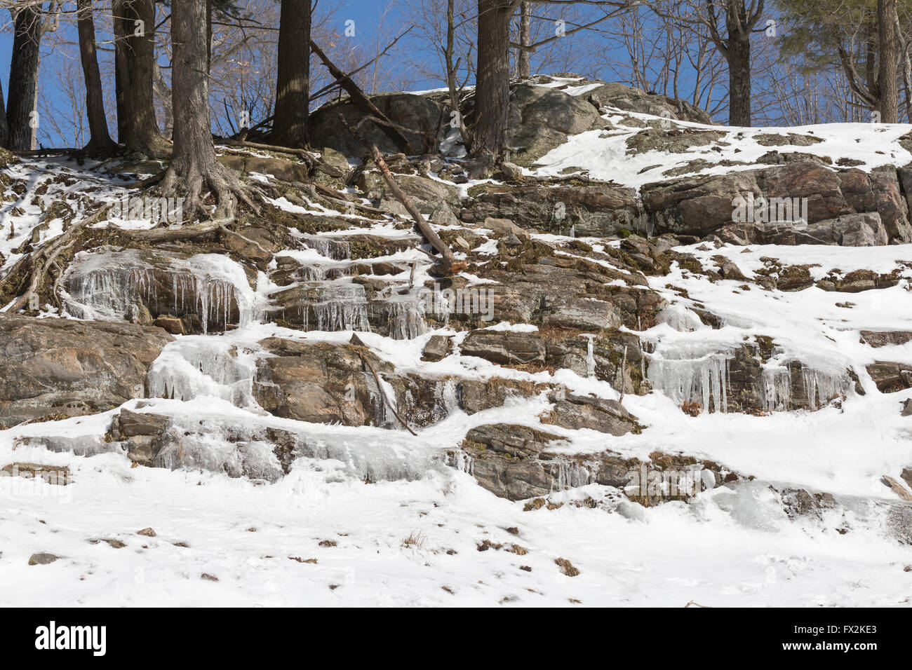 Paesaggio di primavera neve ghiaccio foresta di alberi Foto Stock
