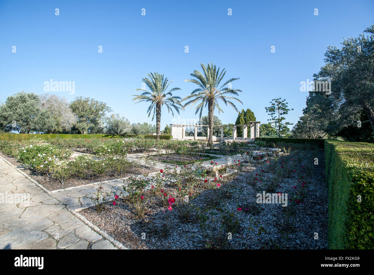 Ramat Hanadiv è una natura parco e giardino che copre 4.5 km all'estremità meridionale del Monte Carmelo, Israele Foto Stock