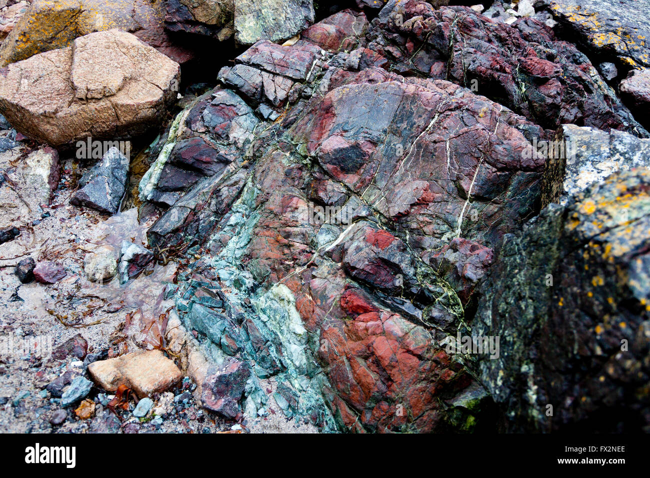 Rari affioramenti di roccia a serpentina sulla spiaggia di Kynance Cove sulla penisola di Lizard, Cornwall, Regno Unito Foto Stock