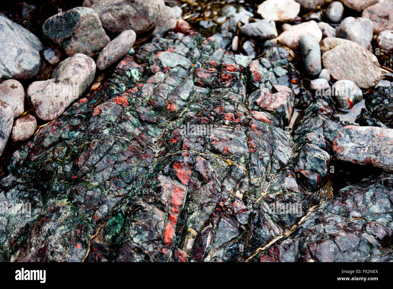 Rari affioramenti di roccia a serpentina sulla spiaggia di Kynance Cove sulla penisola di Lizard, Cornwall, Regno Unito Foto Stock