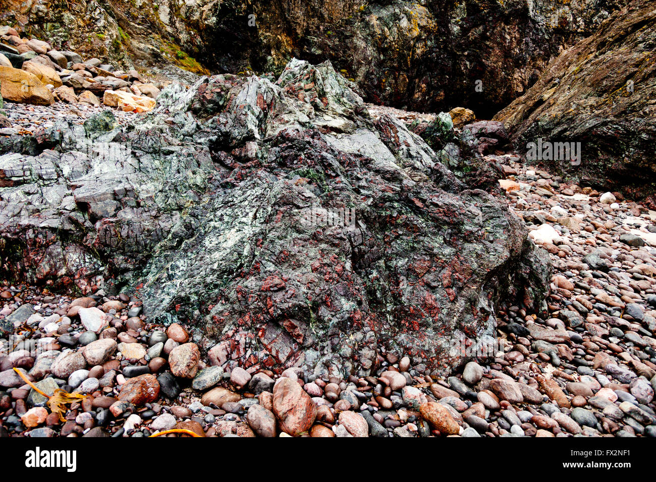 Rari affioramenti di roccia a serpentina sulla spiaggia di Kynance Cove sulla penisola di Lizard, Cornwall, Regno Unito Foto Stock