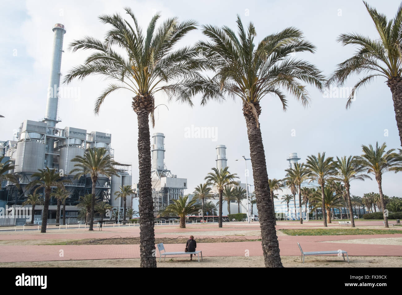 Seduta tra alberi di palma e Tèrmica centrale del Besòs, centrale a energia termica, Parc de la Pau, barcellona,cataluña,Spagna,l'Europa. Foto Stock