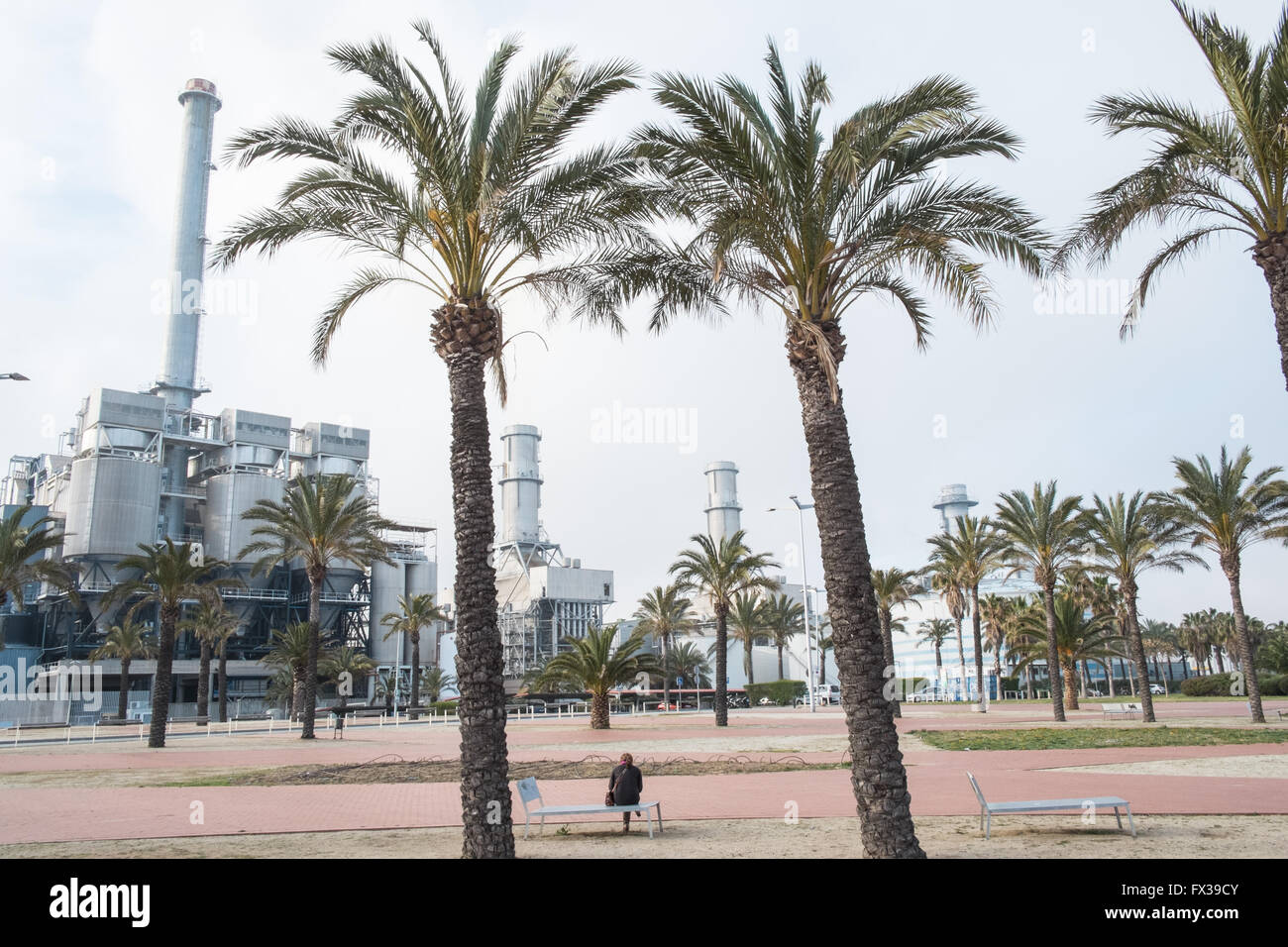 Seduta tra alberi di palma e Tèrmica centrale del Besòs, centrale a energia termica, Parc de la Pau, barcellona,cataluña,Spagna,l'Europa. Foto Stock