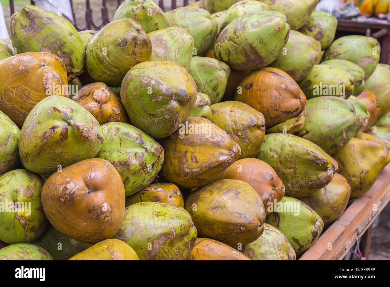 Primo piano di noci di cocco verde in India in un mercato di stand Foto Stock