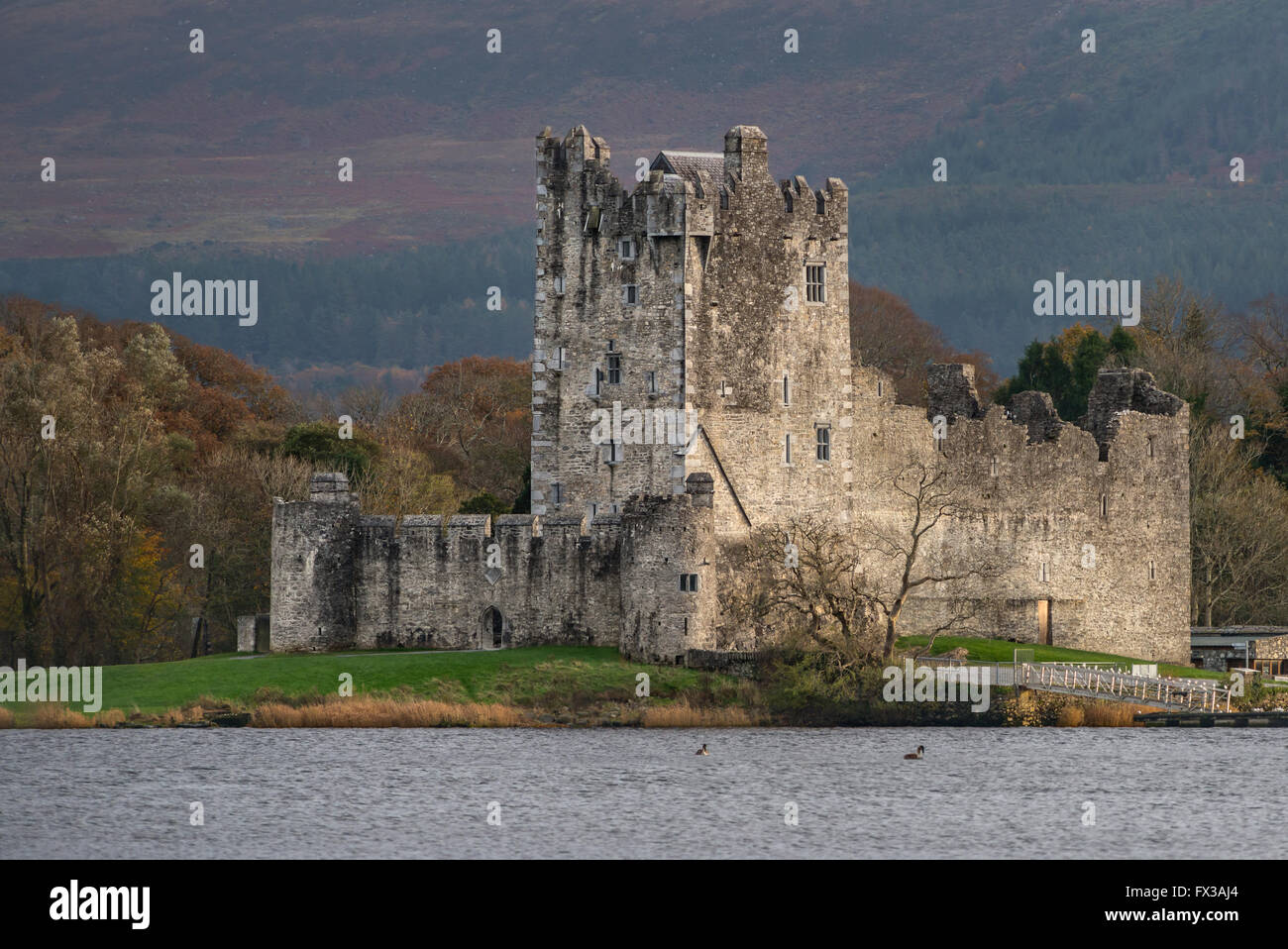 Ross Castle Killarney Irlanda nel Killarney National Park, contea di Kerry, Irlanda Foto Stock