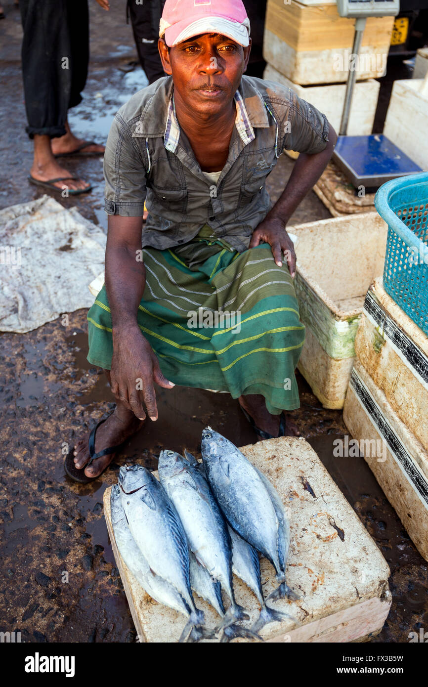 Pesce per vendita a Negombo mercato del pesce (Lellama mercato del pesce), Negombo, Sri Lanka, Asia Foto Stock