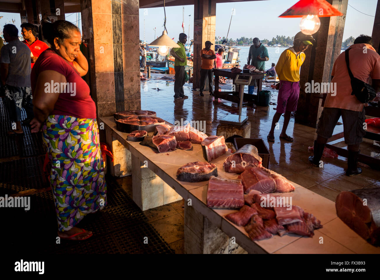 Pescivendolo sfilettatura pesce fresco, porto di pescatori, Negombo lagoon, Negombo, Sri Lanka, Oceano Indiano, Asia Foto Stock