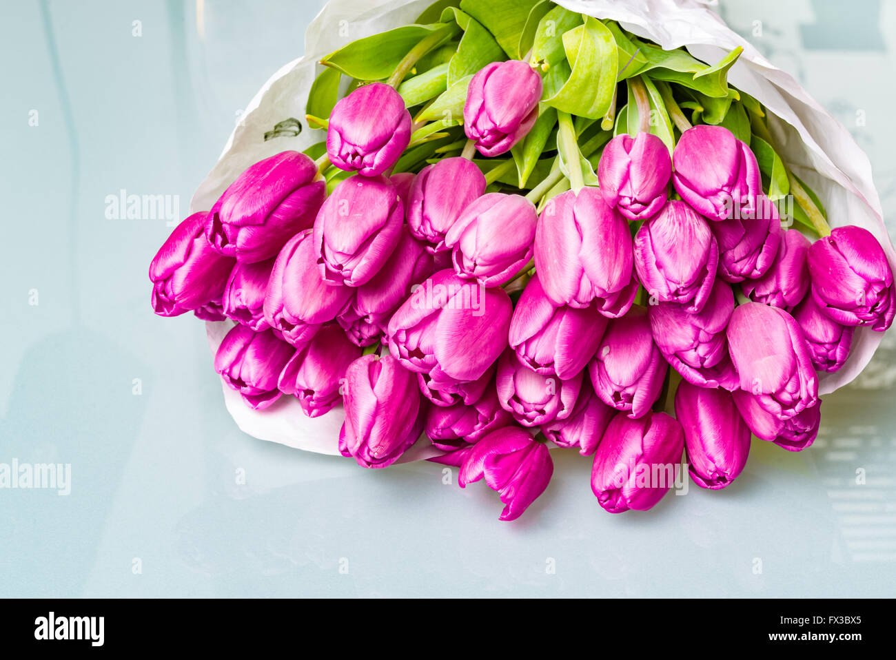 Anniversario pink tulip mazzo di fiori avvolto in carta bianca su un tavolo di vetro Foto Stock